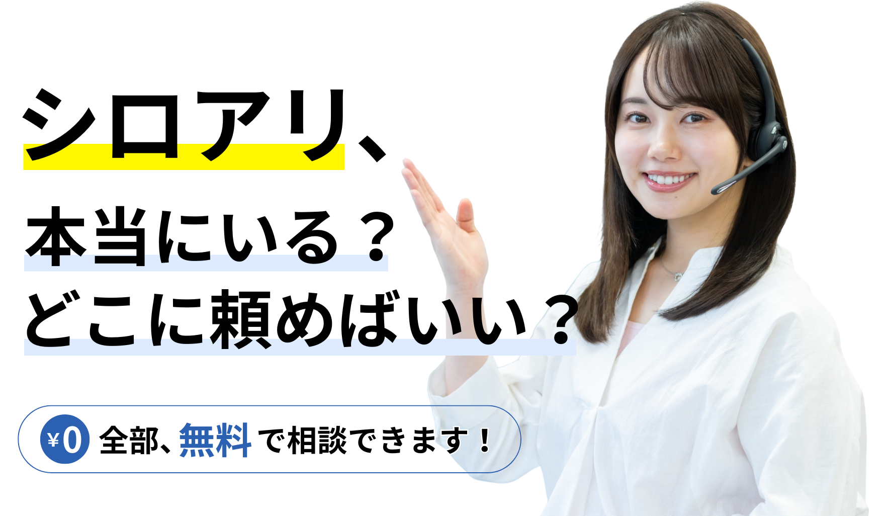 シロアリ、本当にいる？どこに頼めばいい？全部、無料で相談できます！